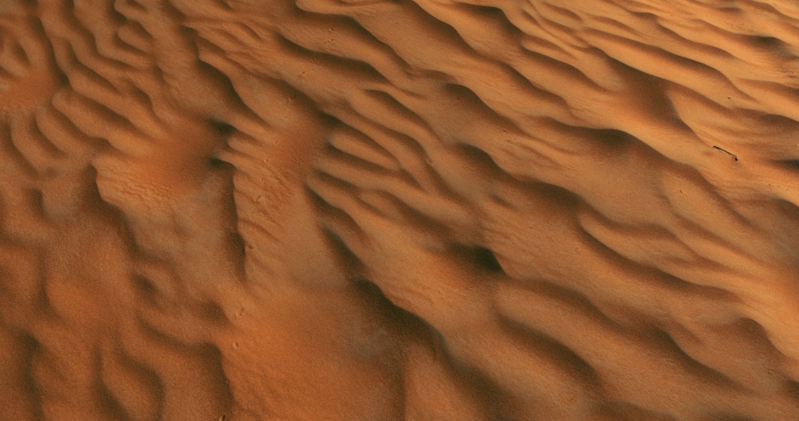 desert sand